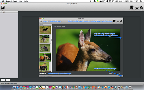 Drag-N-Scale：简单的图像缩放软件