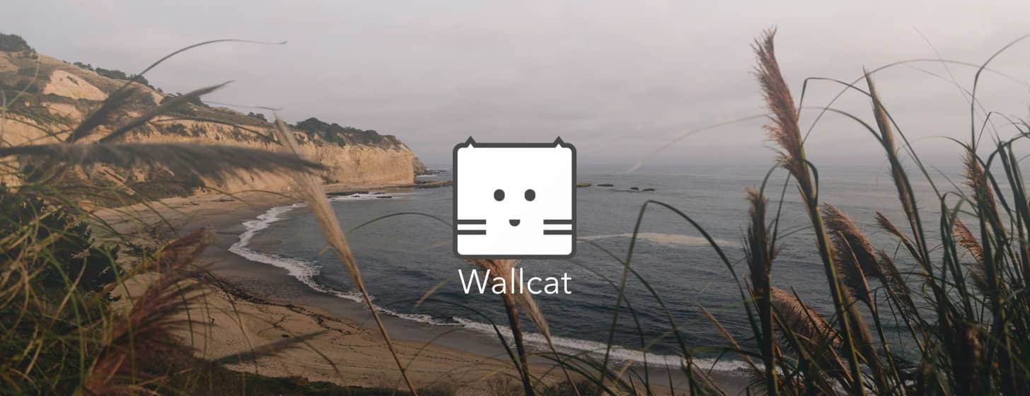 Wallcat：随心而动的小巧壁纸软件「macOS」